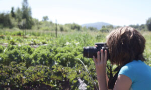 grades5.8Farm_Food_Photo grades5.8Farm_Food_Photo